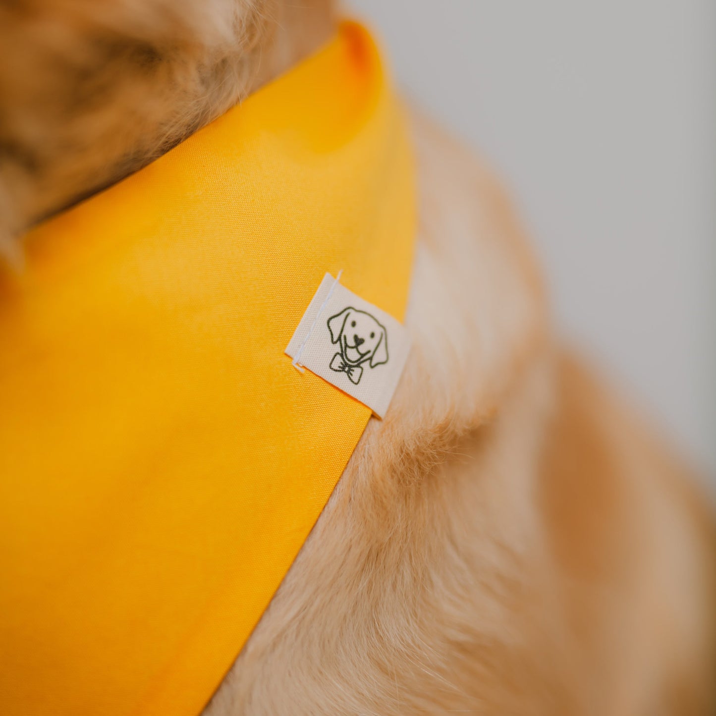 Detail des aufgenähten Party Paws-Etiketts auf Hundehalstuch aus Bio-Baumwolle
