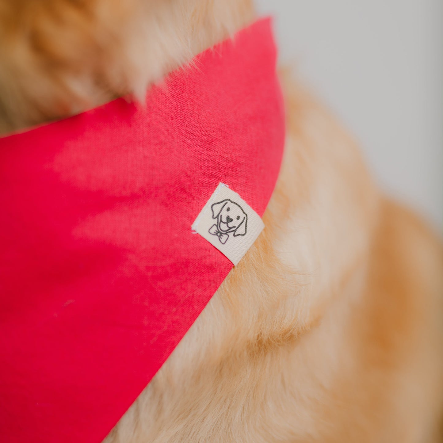Logo-Etikett auf pinkem Hundehalstuch aus Bio-Baumwolle im Detail