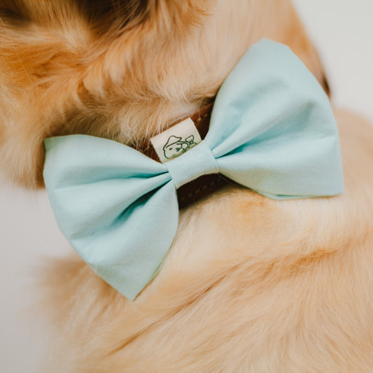 Die mintfarbene Hundefliege in der Detail-Ansicht