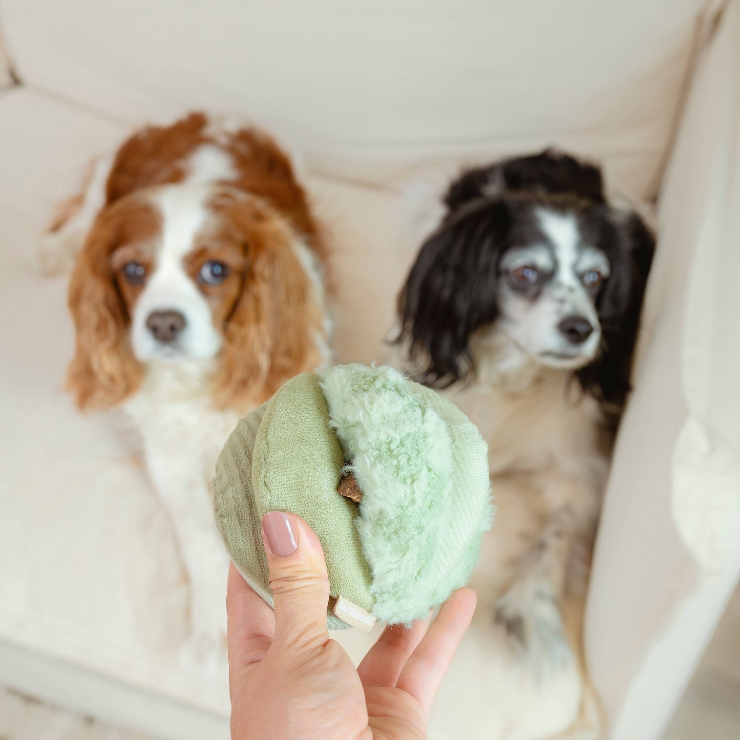 TOTO SMALL Schnüffelspielzeug ohne Quietscher