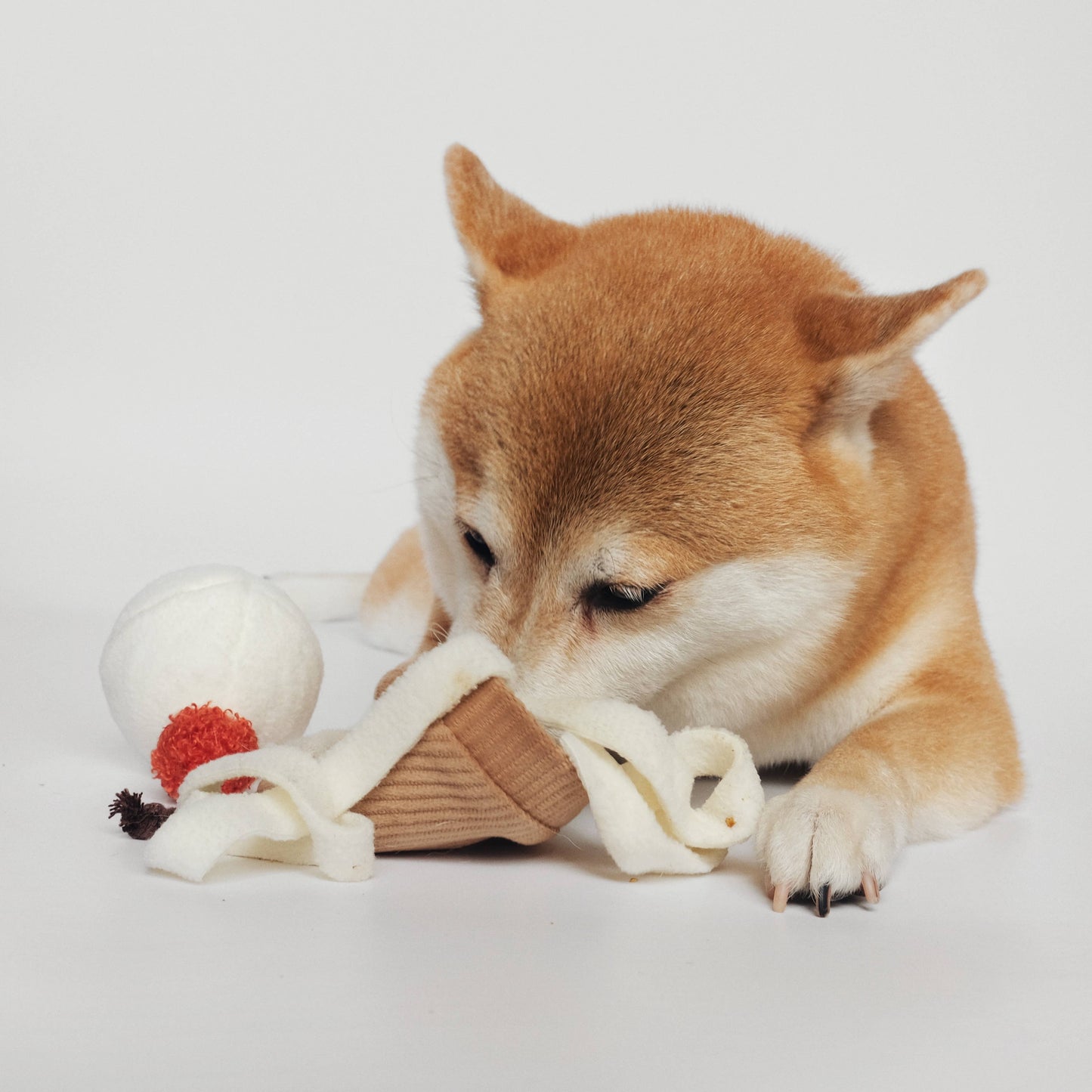 Lambwolf Eiscreme Pop Schnüffelspielzeug Hund spielt