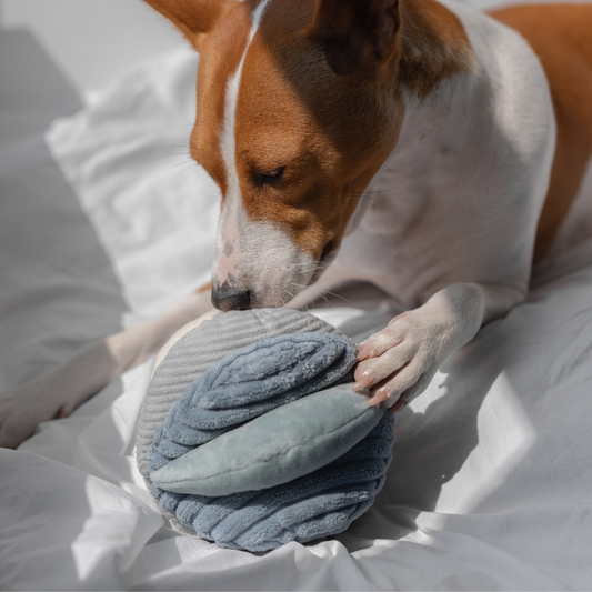 Lambwolf TOTO Schnüffelball marine Hund Pfote