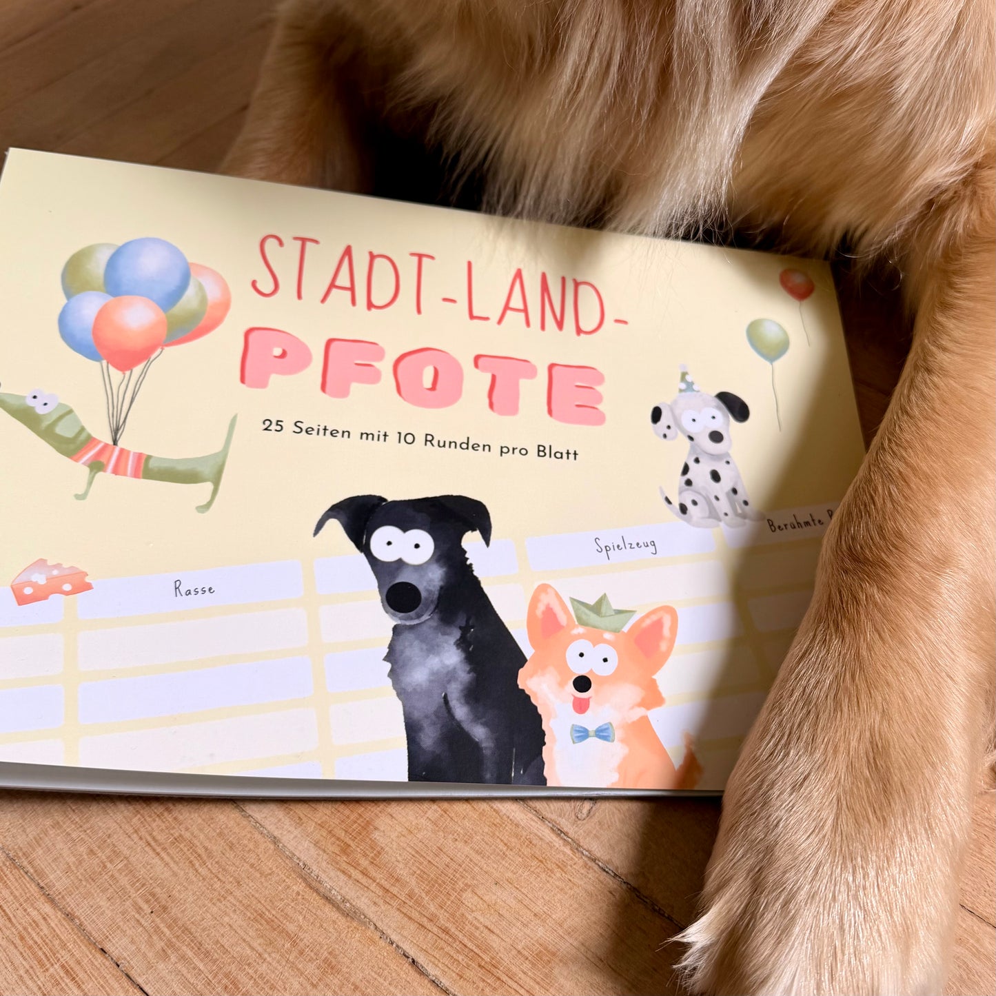 Ein Hund legt die Pfote auf das Spiel Stadt-Land-Pfote