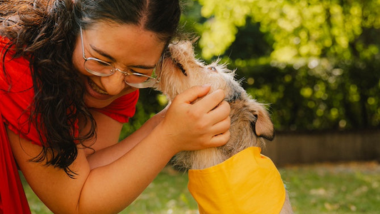 Hundegeburtstag ohne Party: 12 schöne Ideen für einen Tag zu zweit