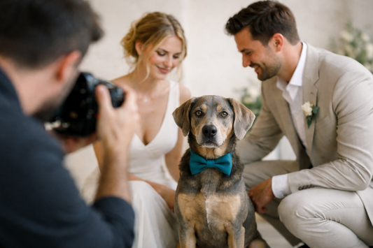 Hochzeitsfotos mit Hund: Tipps für unvergessliche Bilder