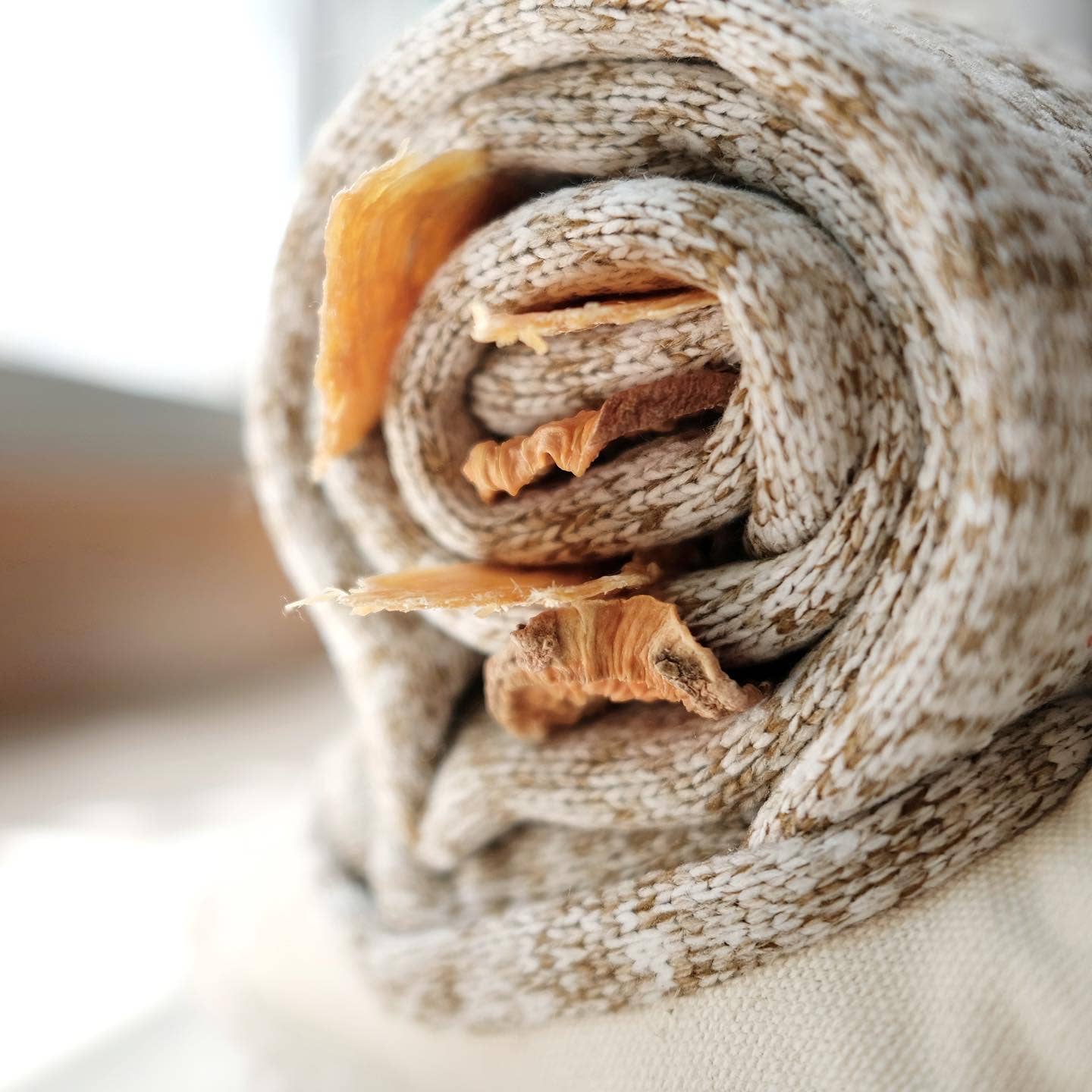 SCHNECKE Schnüffelspielzeug