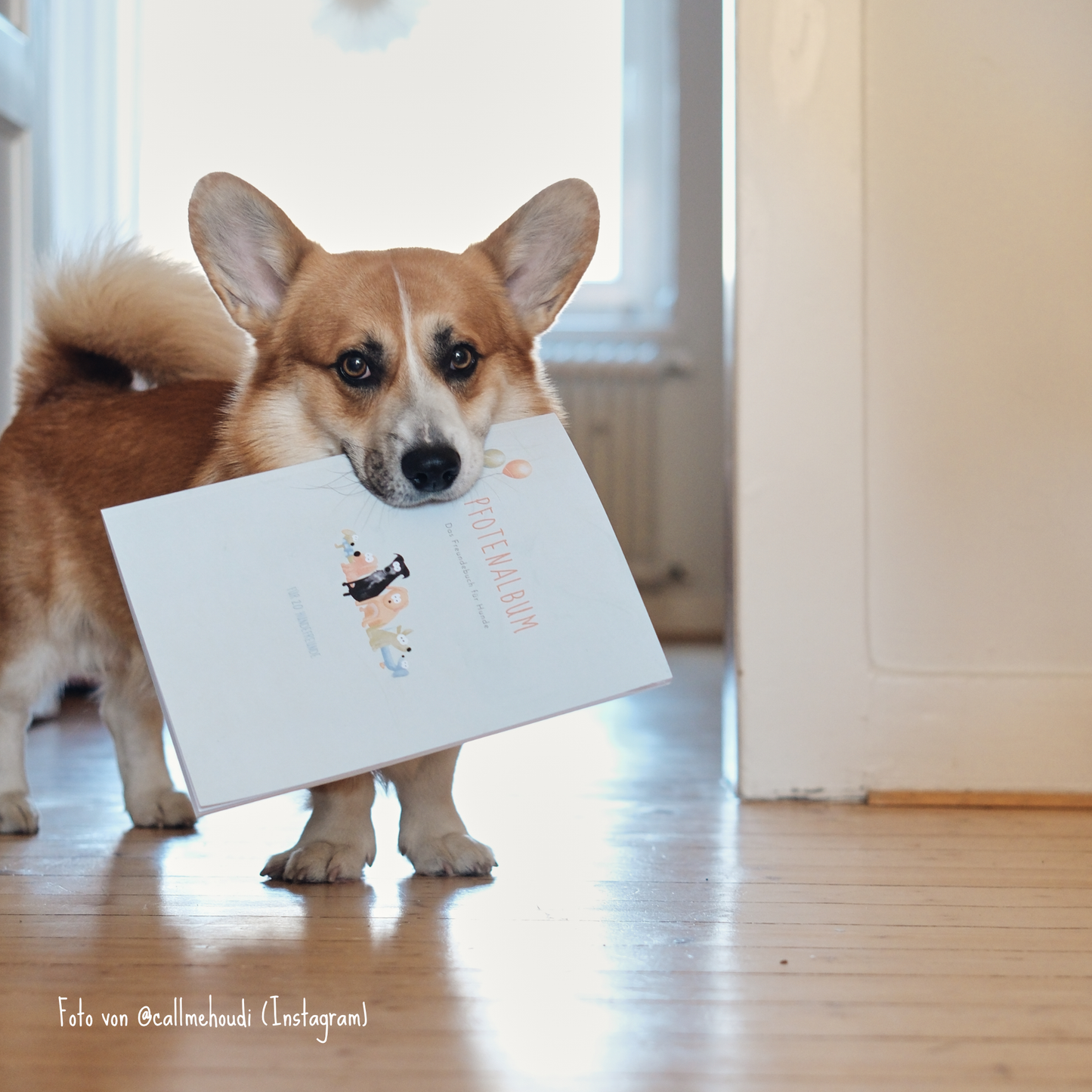 Pfotenalbum – Das Freundebuch für Hunde