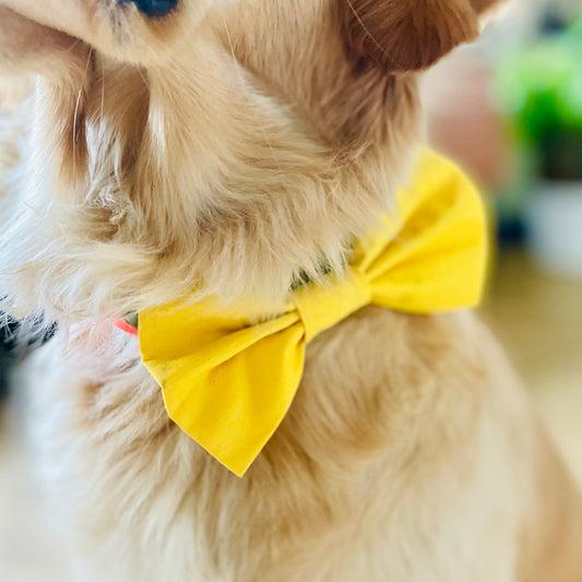 Gelbe Hundefliege für Hundegeburtstag und Hundeparty