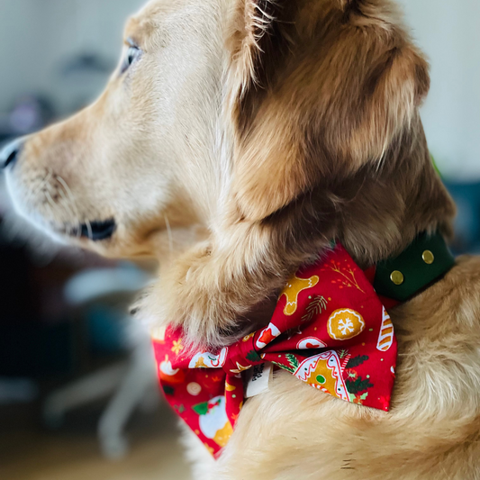 Weihnachts-Hundefliege „Lebkuchen“ (limitiert)
