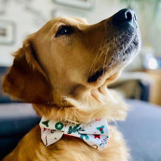 Weihnachts-Hundefliege „Weihnachtsdeko“ (limitiert)