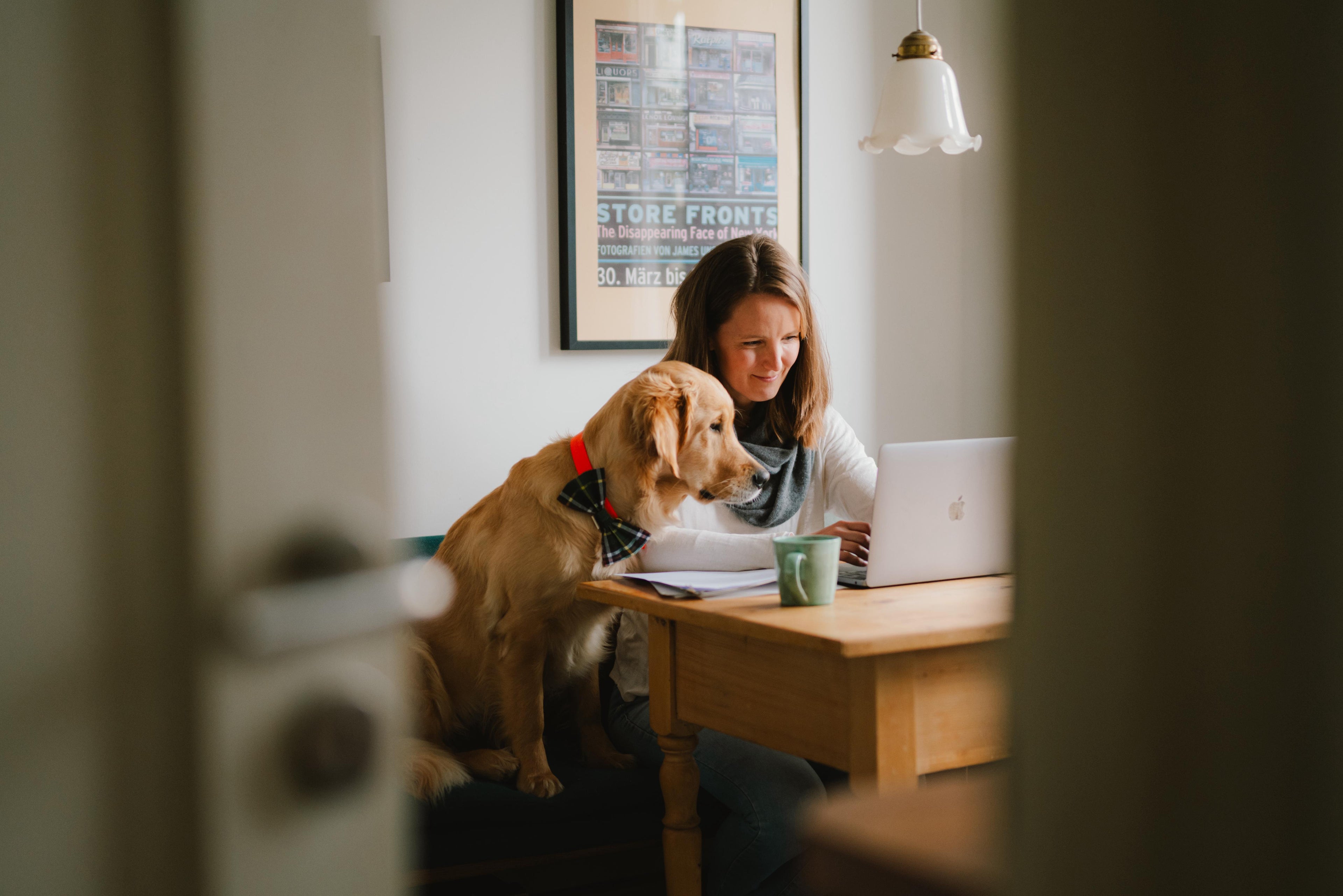 Frau und Hund sitzen auf einer Küchenbank und schauen auf einen Laptop