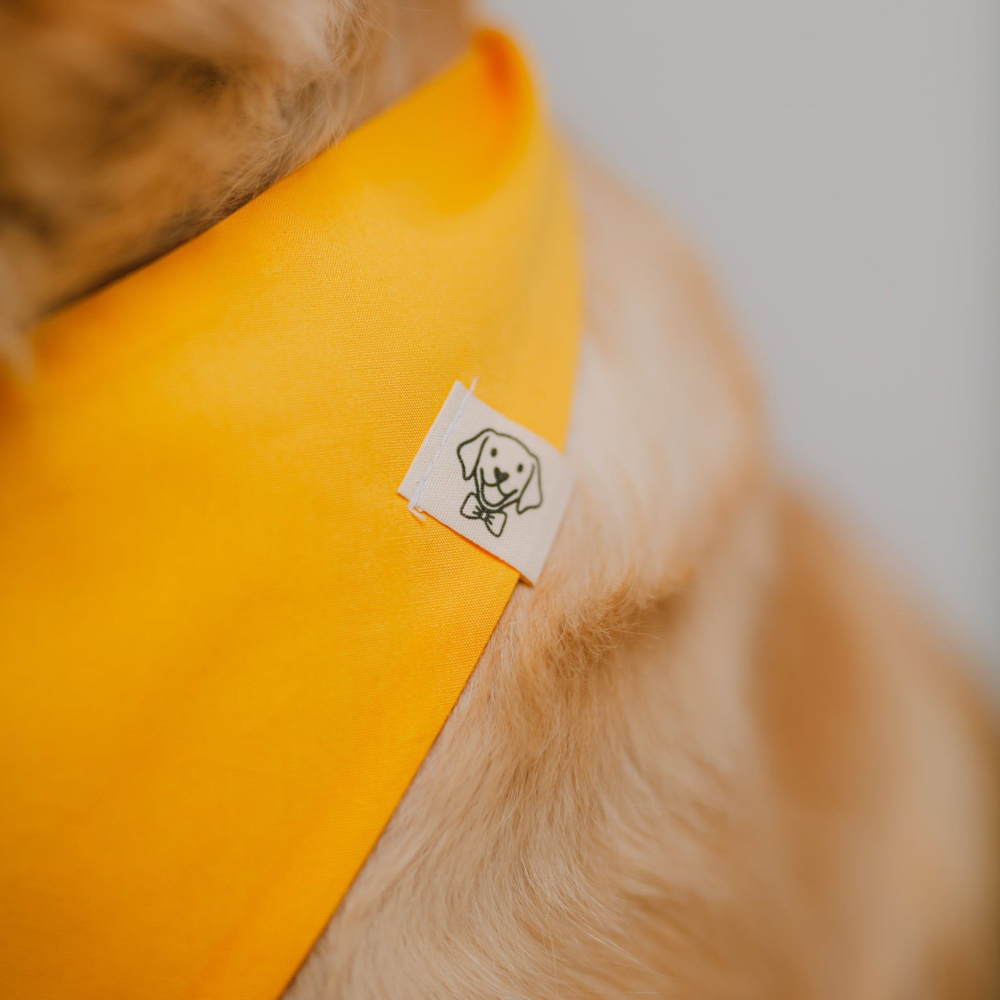 Detail des aufgenähten Party Paws-Etiketts auf Hundehalstuch aus Bio-Baumwolle