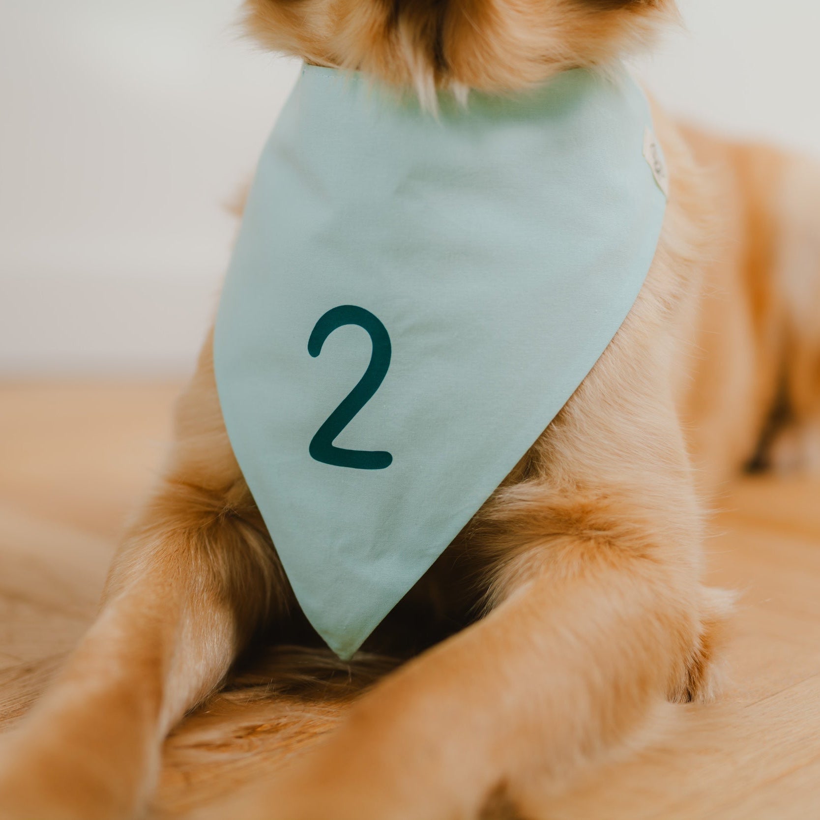 Logo-Etikett auf pinkem Hundehalstuch aus Bio-Baumwolle im Detail