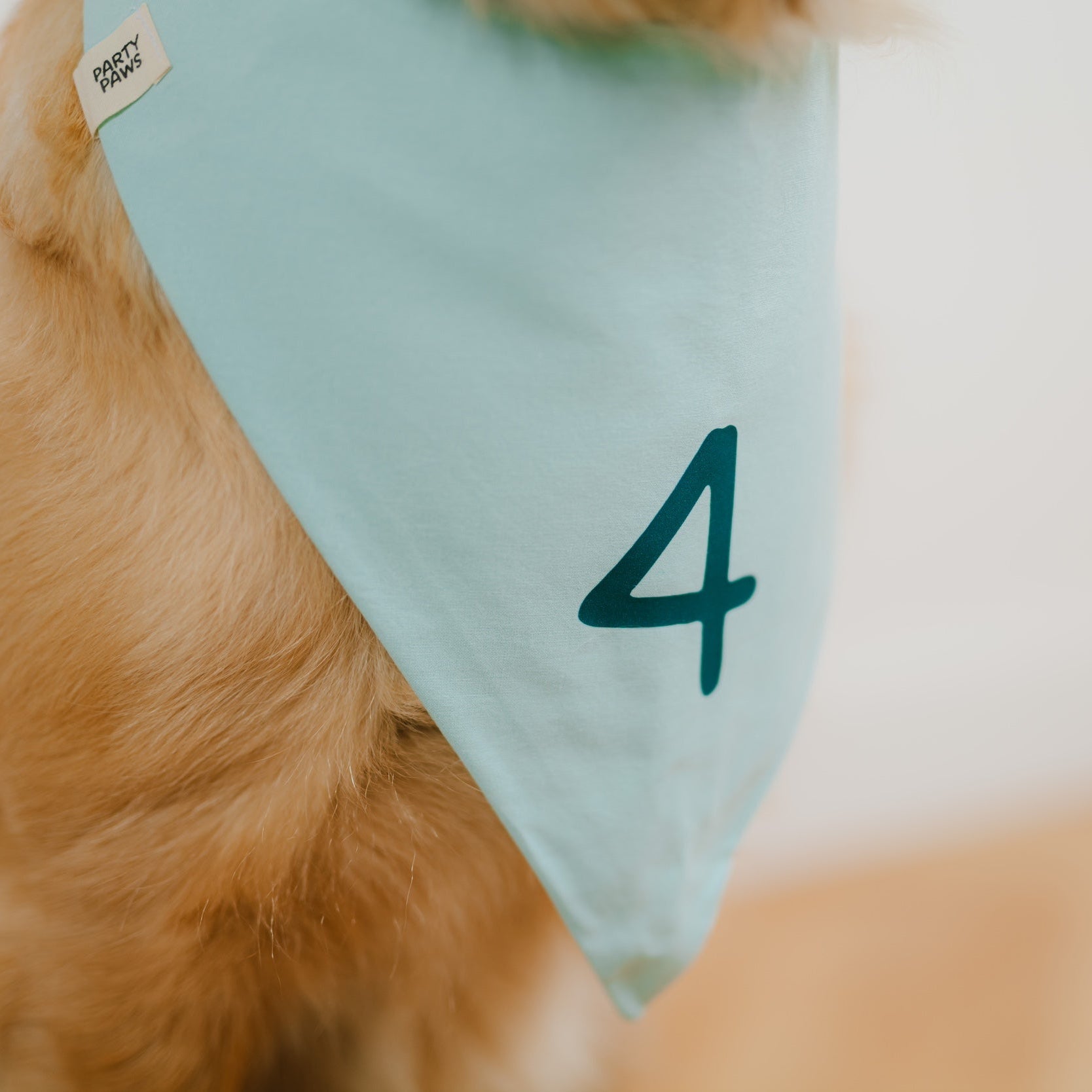 Detail der Zahl 4 auf mintfarbenem Hundehalstuch für den Hundegeburtstag