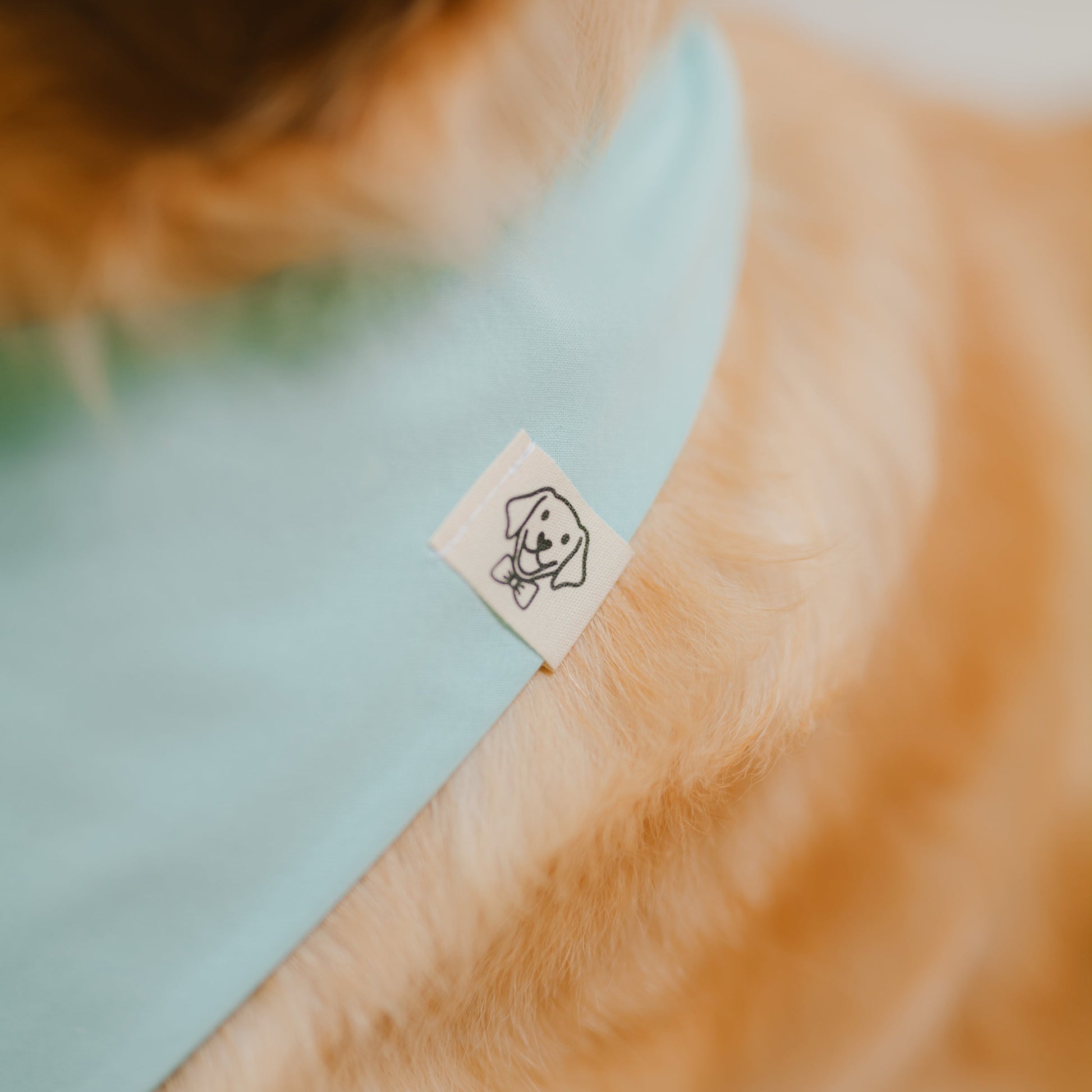Party Paws-Etikett auf mintfarbenem Hundehalstuch aus Bio-Baumwolle im Detail