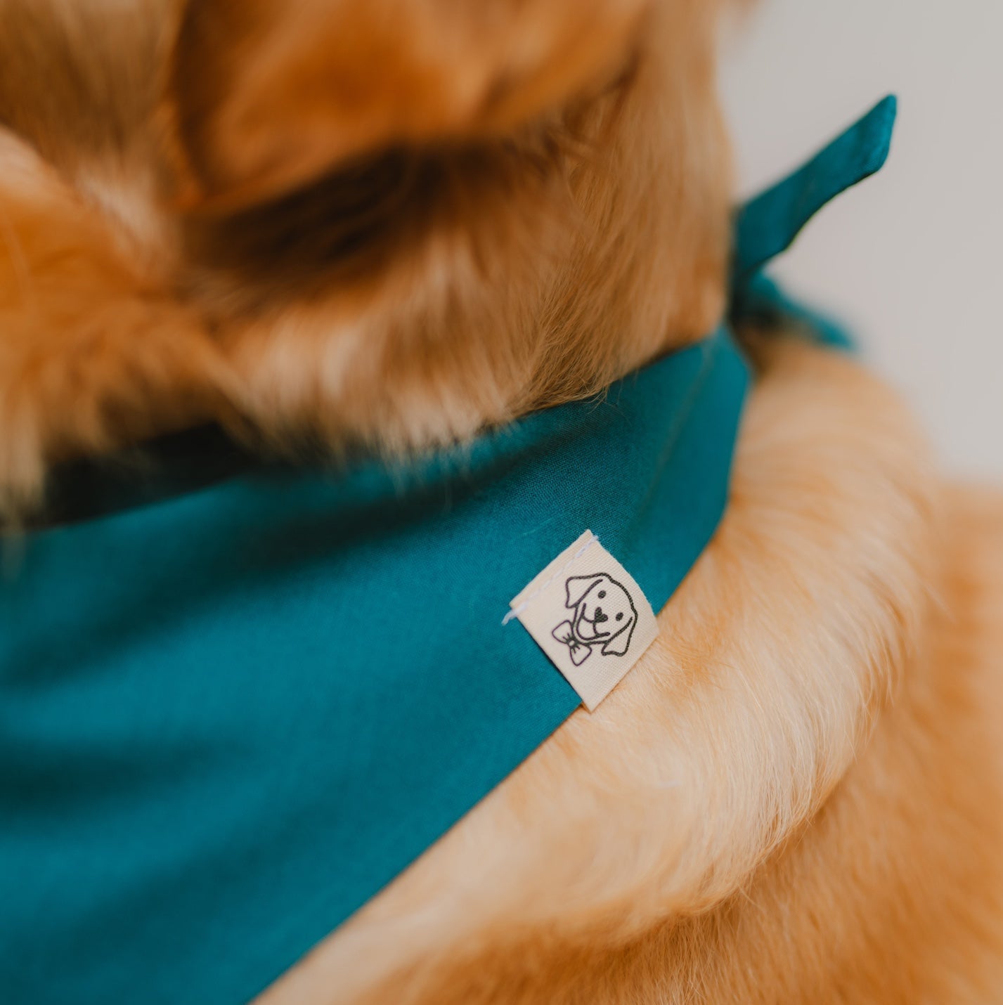 Party Paws-Logo auf petrolfarbenem Hundehalstuch aus Bio-Baumwolle im Detail