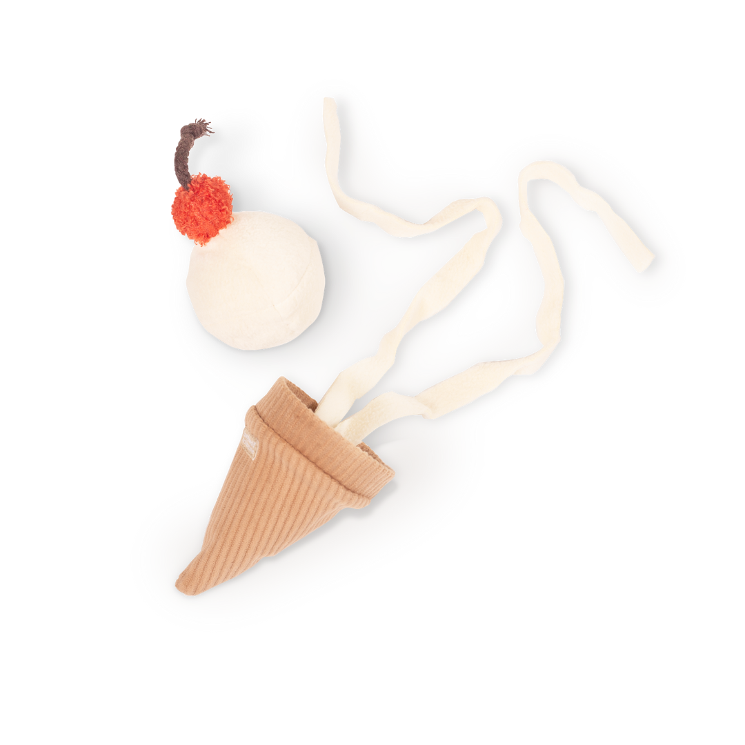 EISCREME POP Schnüffelspielzeug