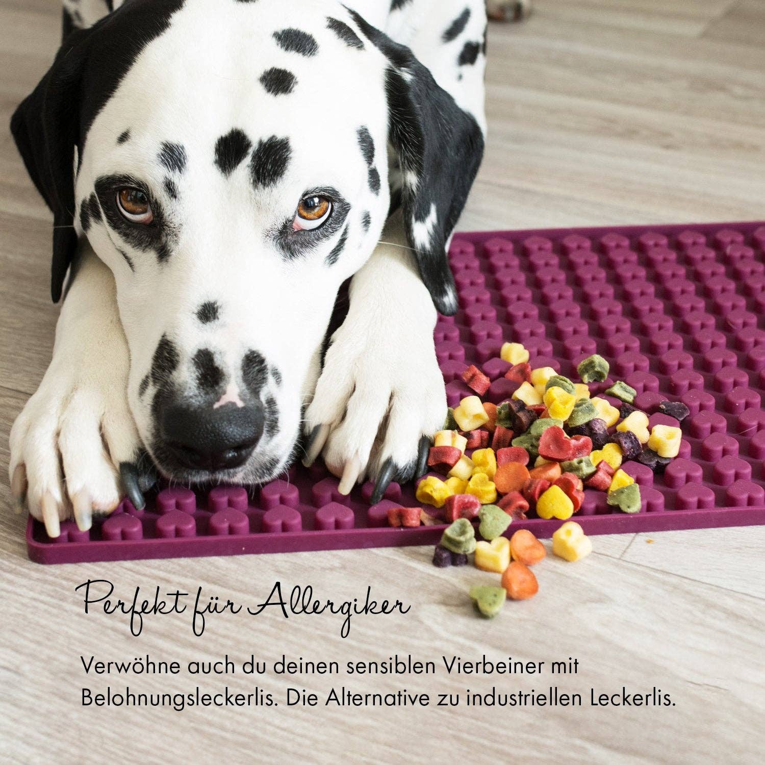 Collory Herz Backmatte Mini Hund Leckerlis Allergiker