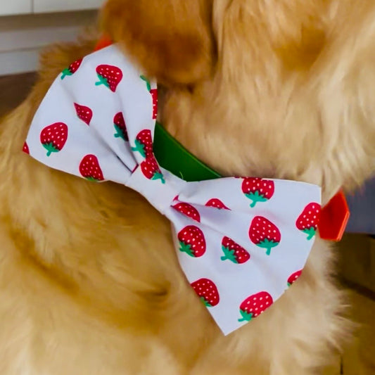 Hundefliege mit Erdbeer-Muster aus Baumwolle für besondere Anlässe