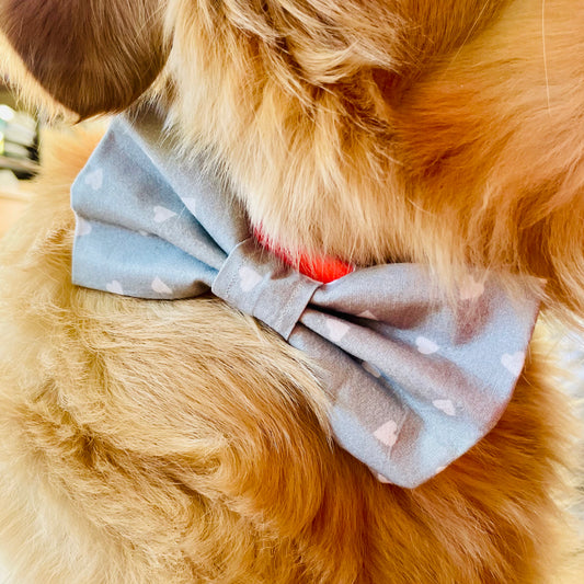 Hundefliege (grau) - Party Paws