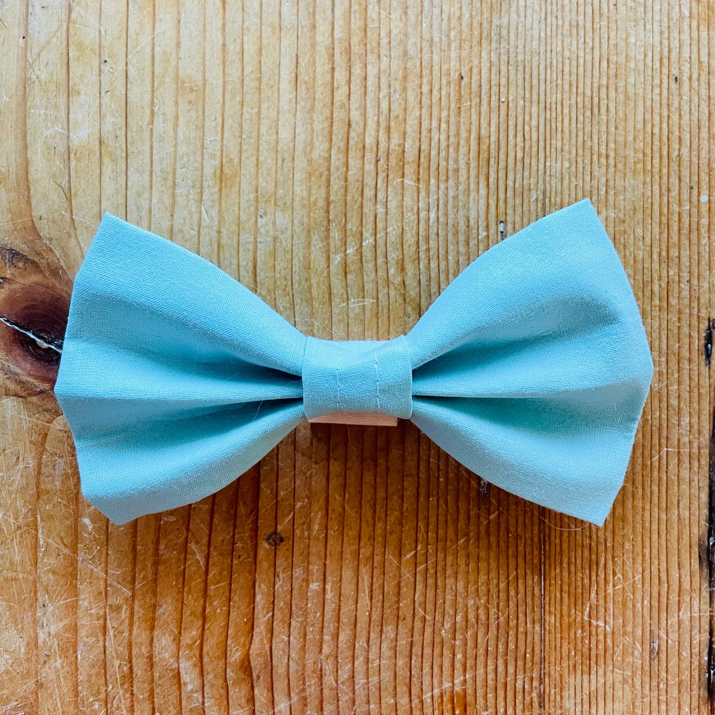 Hundefliege mint Vorderseite