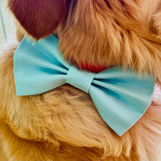 Hundefliege mint für Hundegeburtstag oder Hundeparty