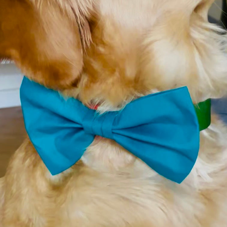 Hundefliege in Petrol aus Baumwolle als stilvolles Hundeaccessoire