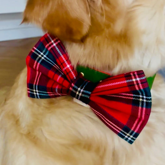 Hundefliege im rot-grünen Tartan-Schottenkaro aus Baumwolle