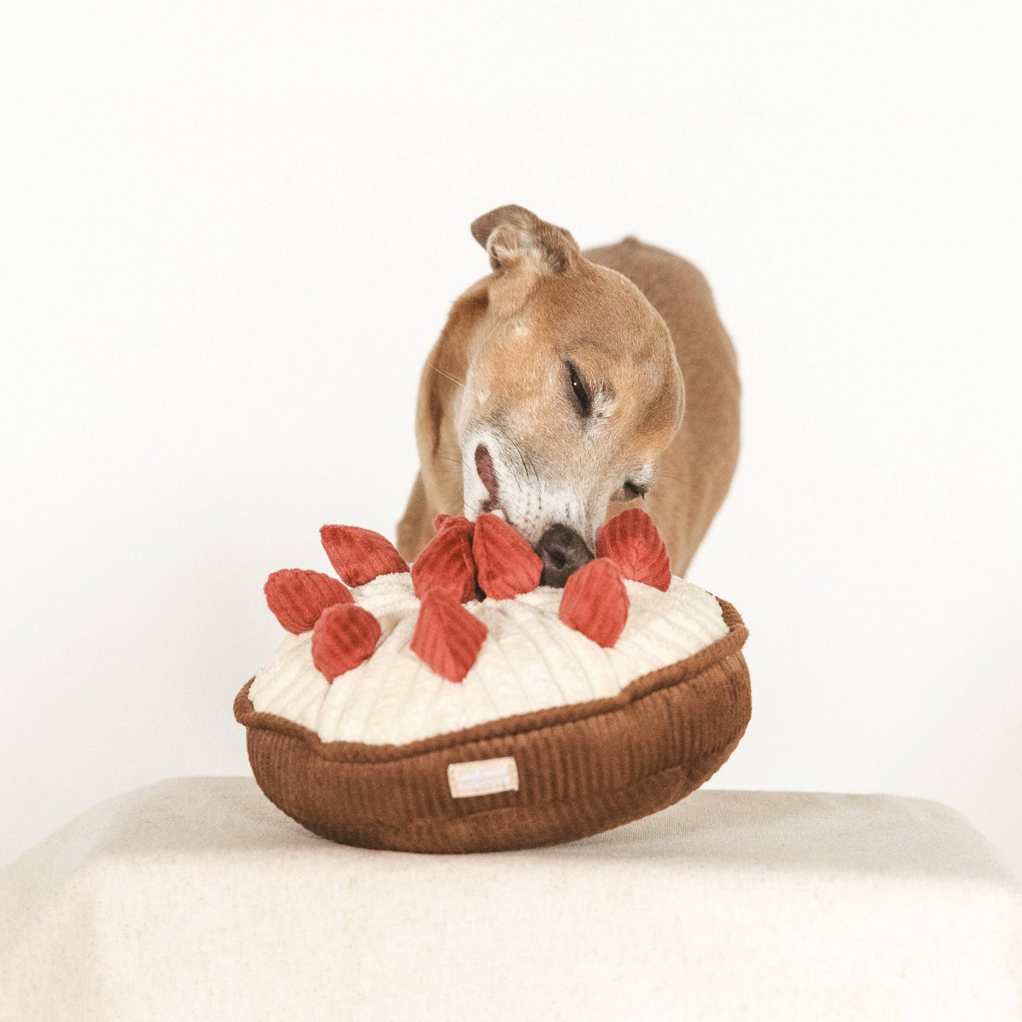 Lambwolf Berry Pie Schnüffelspielzeug für Hunde als Geschenk oder Partyspaß