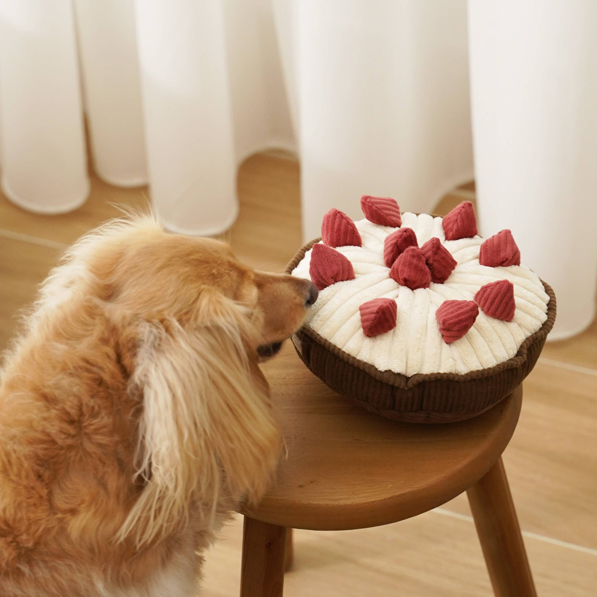 Lambwolf Berry Pie Schnüffelspielzeug Hund schnüffelt Seitenansicht