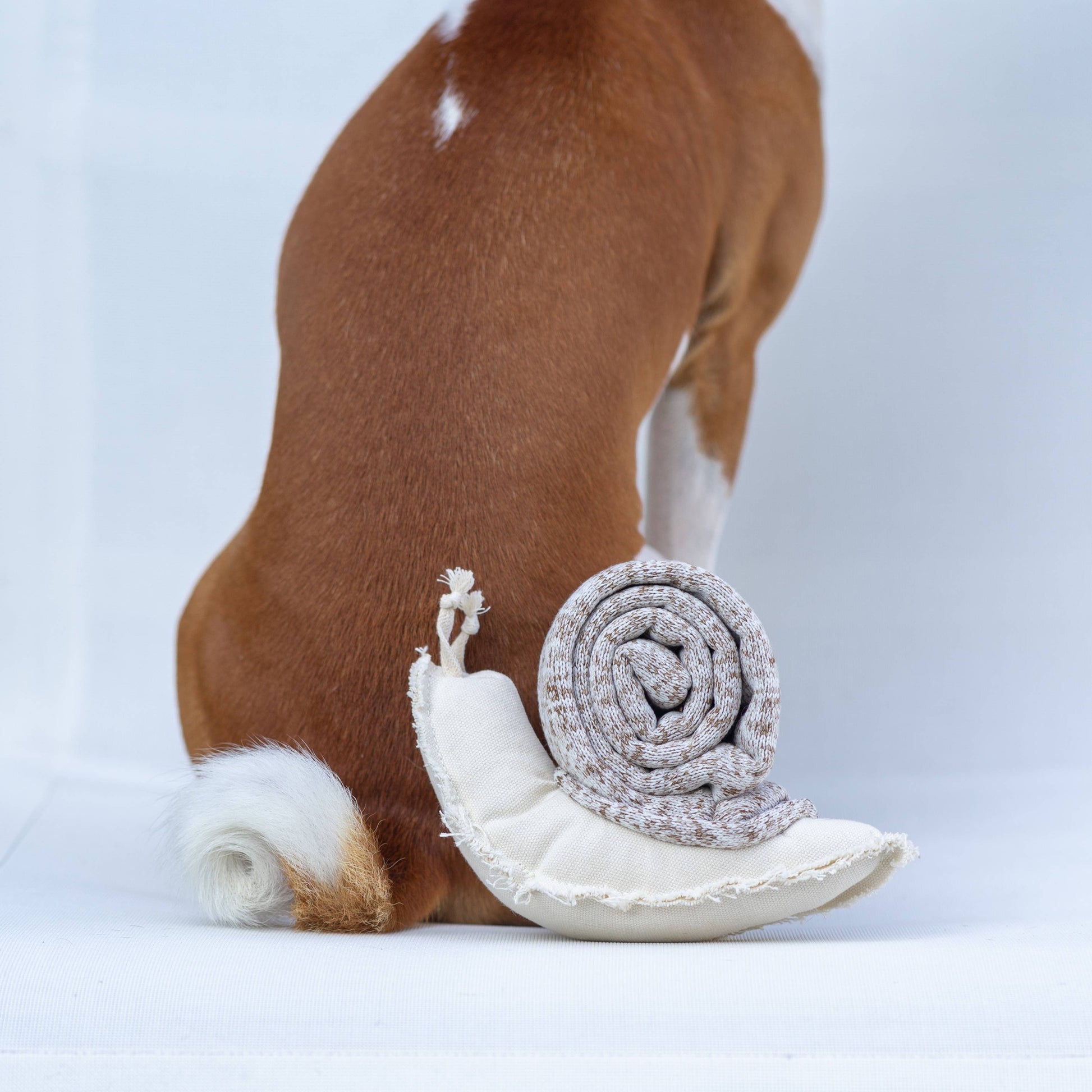 Lambwolf SCHNECKE Schnüffelspielzeug neben Hund