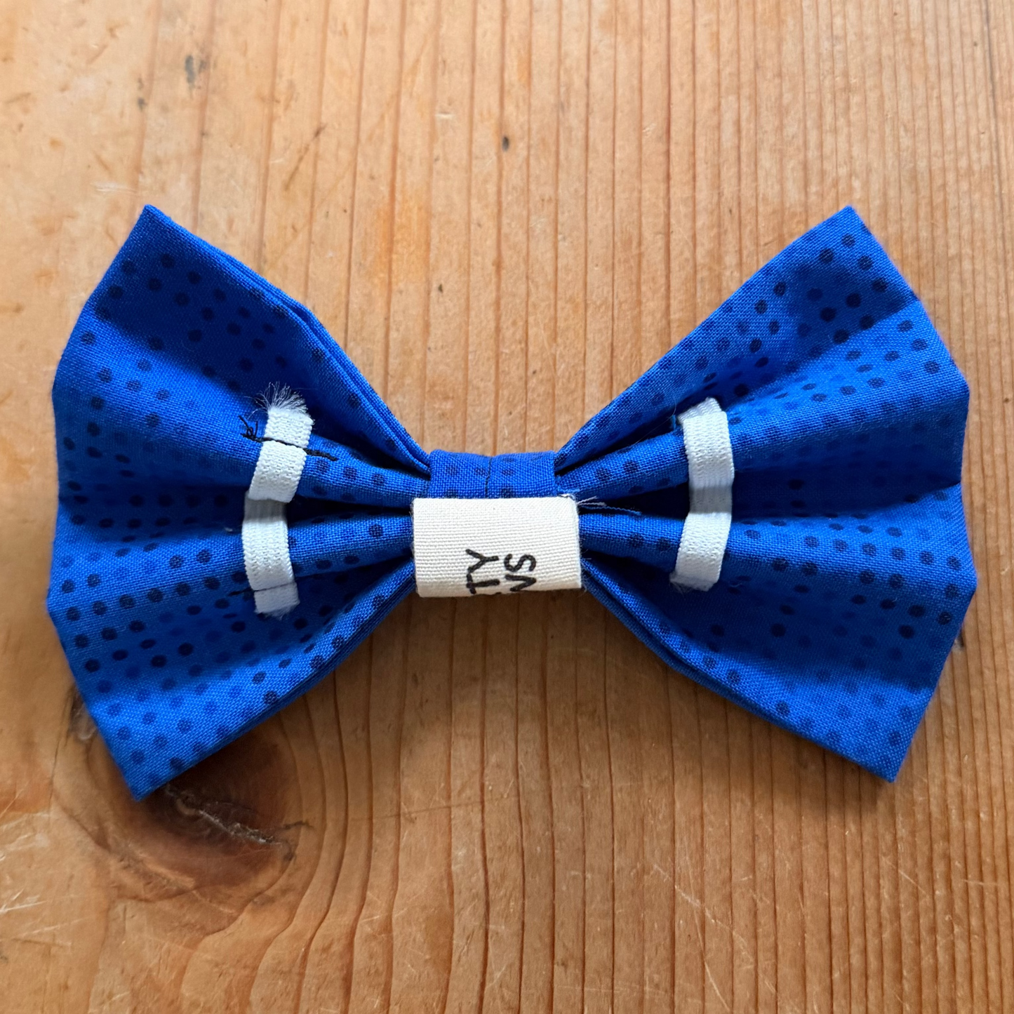 Blaue Hundefliege mit Punkten von hinten