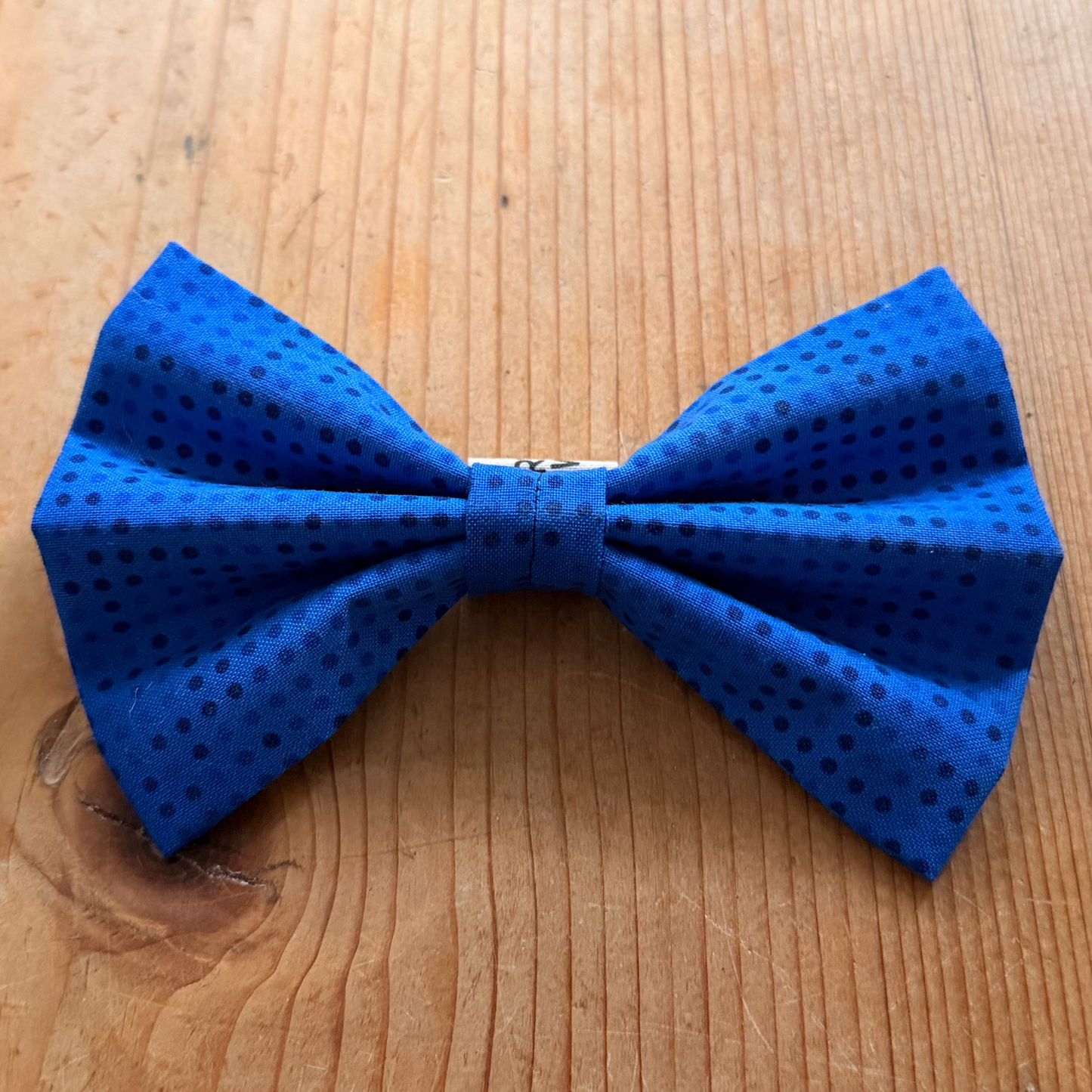Blaue Hundefliege mit Punkten von vorne