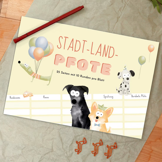 Frontalansicht des Spiels "Stadt Land Pfote"
